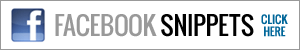 Facebook Snippets - click here