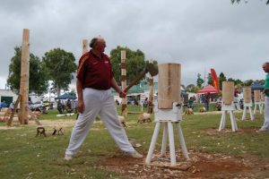 Wet Weather Fails To Dampen Show Spirits