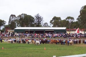 Big Night Planned At Nanango Show