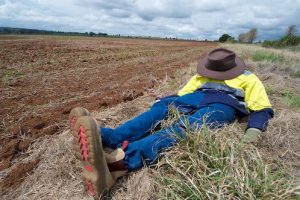UAVs Heading Back To Kingaroy