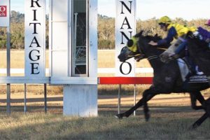 Jockey Escapes Injury In Fall