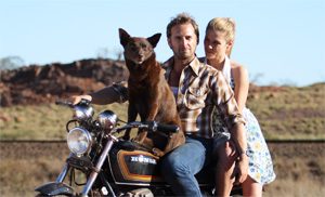 Win Free Tickets To The<BR> 2012 Big Screen Film Festival