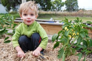 Volunteers Dig In For Community Garden