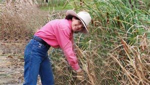 $1.6m Boost To Protect Biodiversity $1.6m Boost To Protect Biodiversity