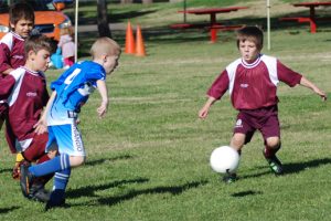 Junior Soccer Results – Round 11