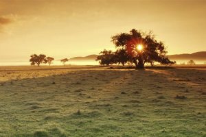 Region Heading For A Chilly Weekend