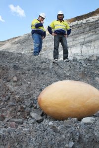 A Rare Find At Meandu Mine