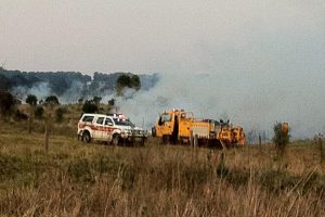 Firies Stop Flames From Reaching Wheat Crop