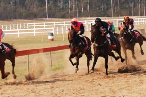 Free Buses To Wondai Races