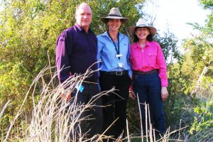 Boxthorn Funding Extended