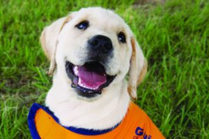 Mobility Expo On Tomorrow