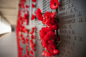 Remembrance Day Update