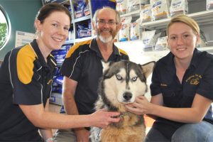 Megan’s Skills Are Back Home