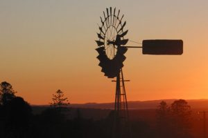 300 Farmers Quit Every Month