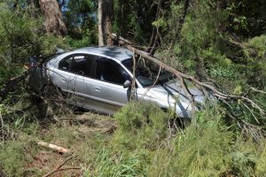 Car Skids Off Highway