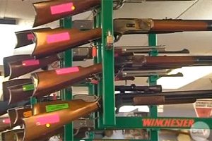 Firearm Amnesty Starts Feb 1