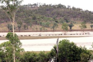 Council Needs Photos Of Farm Damage