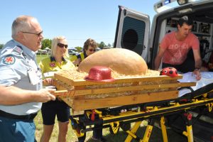 Cracked Egg Suffers Shell Shock