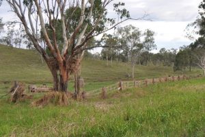 BlazeAid Still Needs Volunteers
