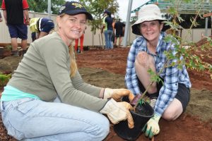 Volunteers Blitz The Work