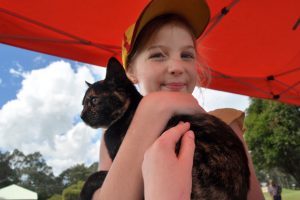 Pets Take Over Carpark