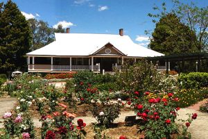 SBRC Freezes Community Loans