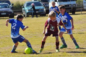 Junior Soccer Results – Round 6