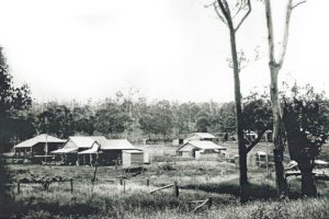 Book To Record History<br> Of A Lost Timber Town