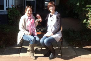 Whimsical Cafe Goes Wild