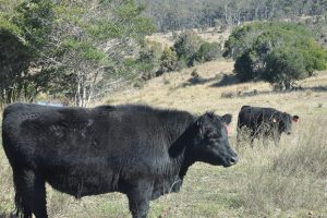 Review Targets Farm Red Tape