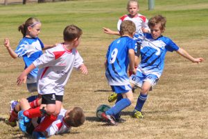 Junior Soccer Results – Round 13