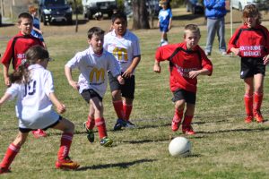 Junior Soccer Results – Round 14