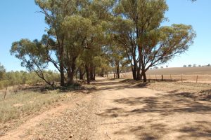 CSIRO Urges ‘Best Practice’