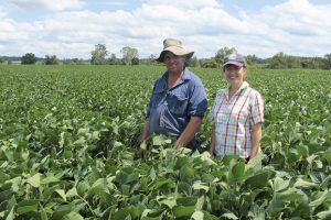 New Soybean Varieties Released