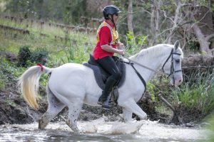 Endurance Riders Plan Treks