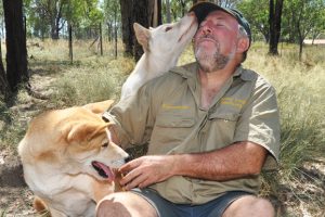 It’s A Dingo’s Life At Durong