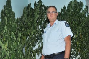 Police Seize More Cannabis