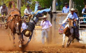 Bell Rodeo Draws Big Crowd - southburnett.com.au