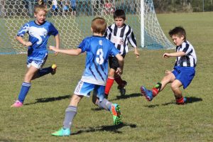 Junior Soccer Results – Round 5