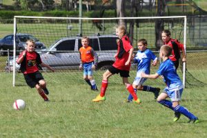 Junior Soccer Results – Round 2