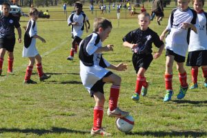 Junior Soccer Results – Round 4