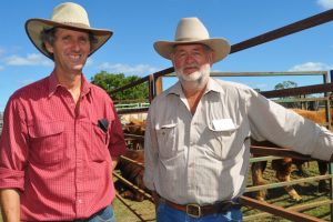 Cattle Producers Focus On Breeding