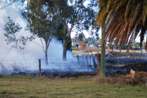 Council Plans Burn-Offs