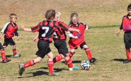 Junior Soccer To Kick Off