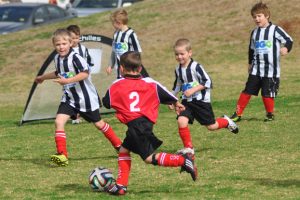 Junior Soccer Results – Round 13