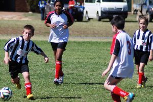Junior Soccer Results – Round 14