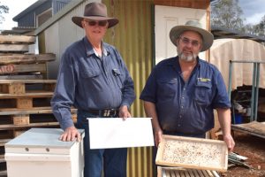 All A-Buzz About Beekeeping