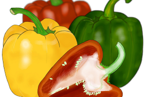 Capsicums or Peppers?