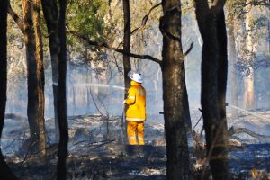 Are You Getting Ready<br> For Bushfire Season?