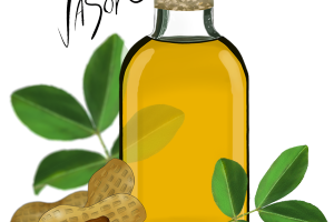 The Nutty Oil